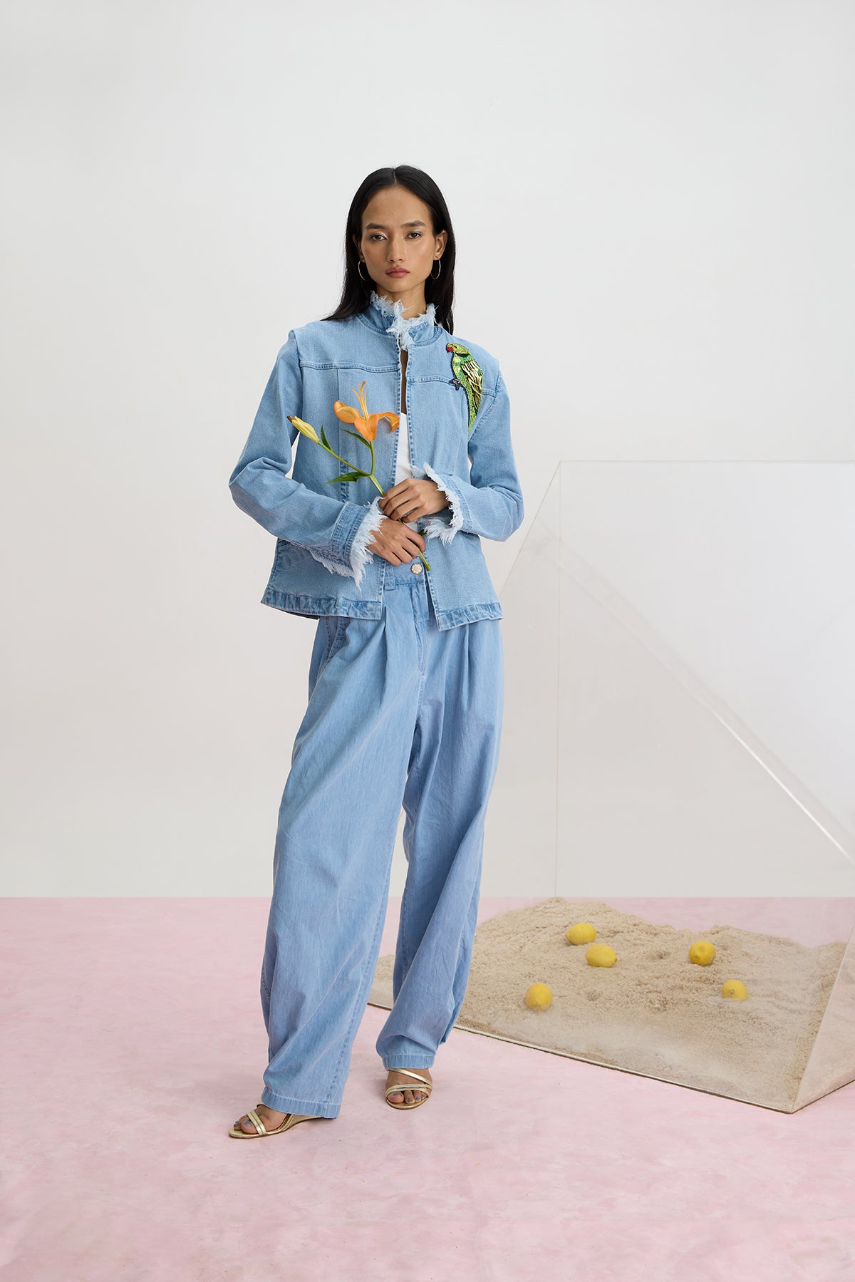 Frayed Parrot Denim Jacket