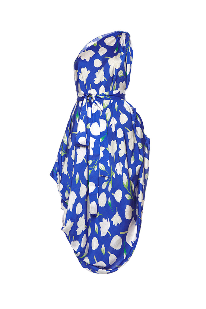 blue jasmine print dress